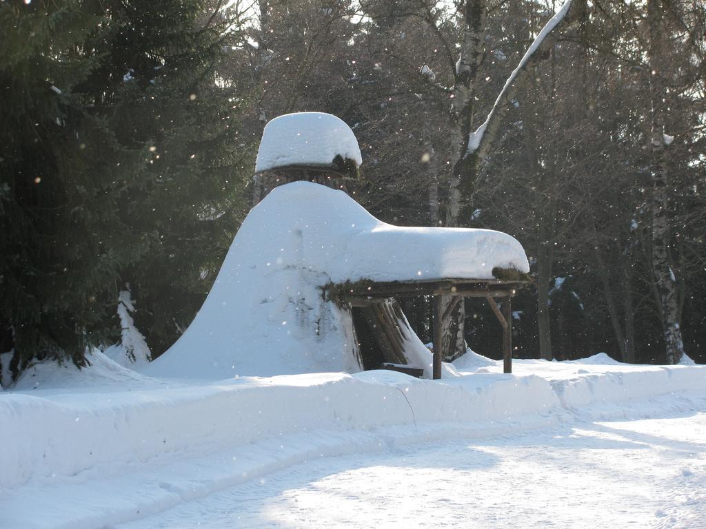 Hotel Kilian Braunlage Dış mekan fotoğraf